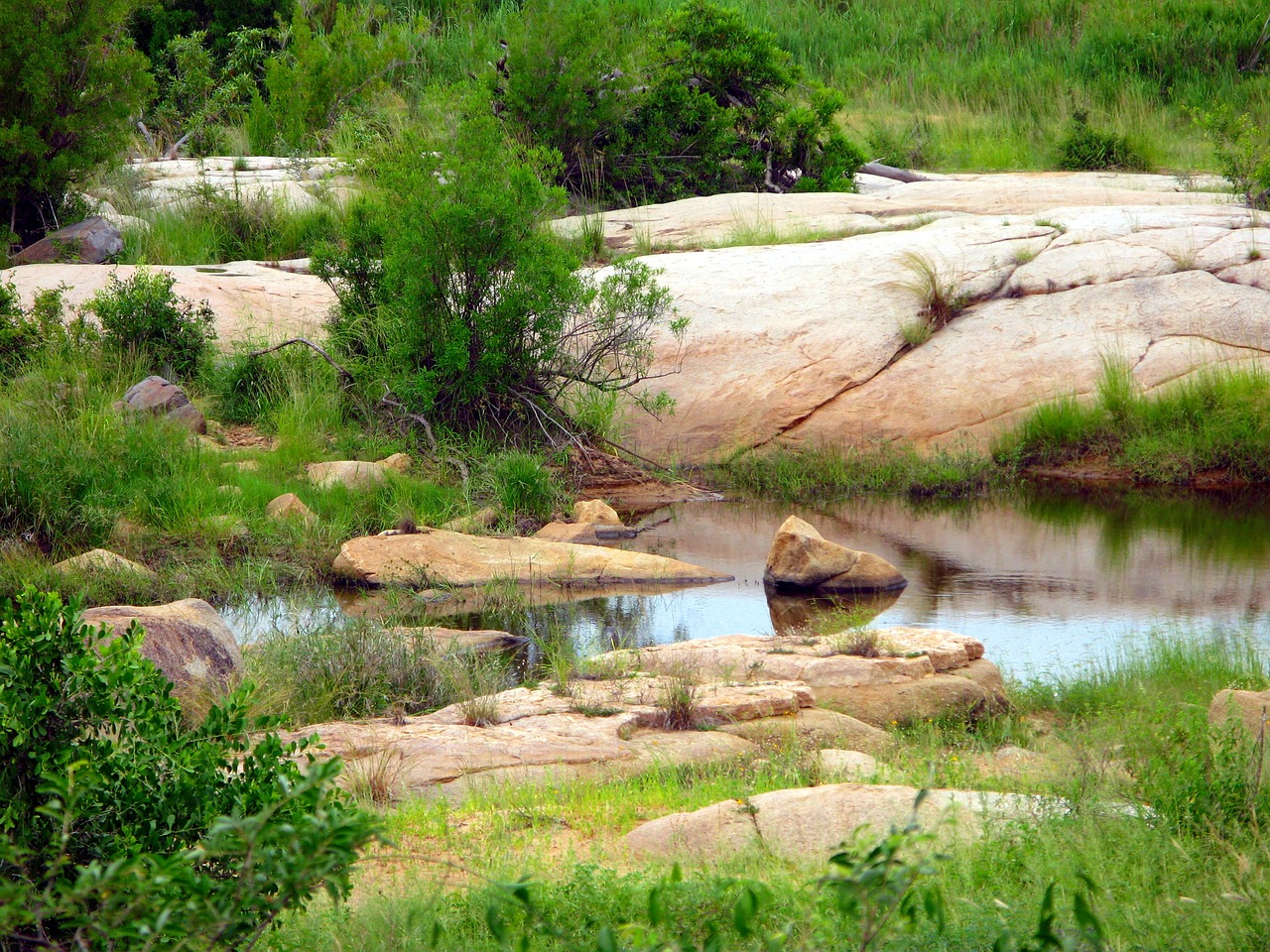 Green Travel Tips for Visiting the United States’ Zion National Park